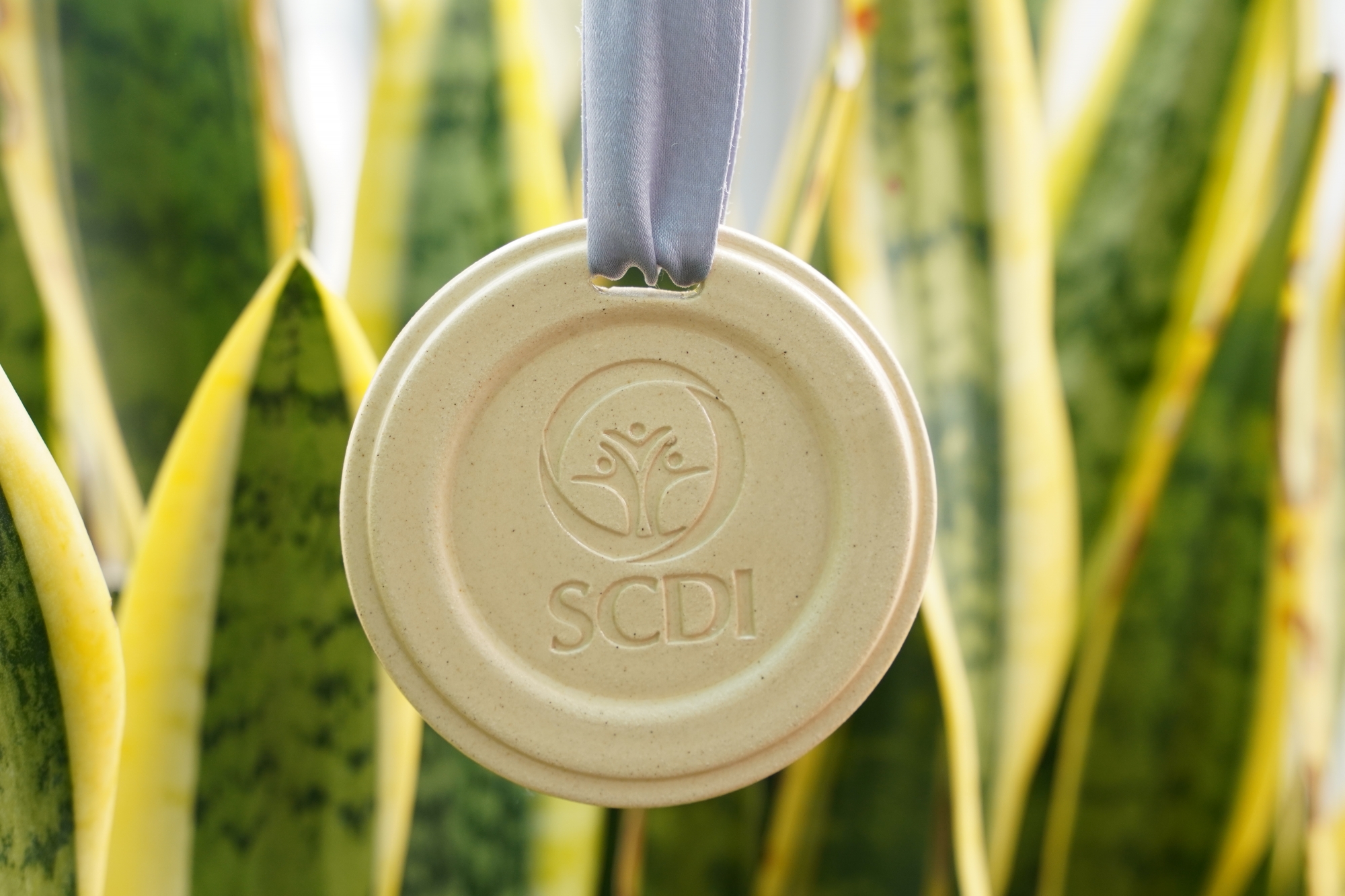 SCDI celebrates 15 years: A journey of resilience