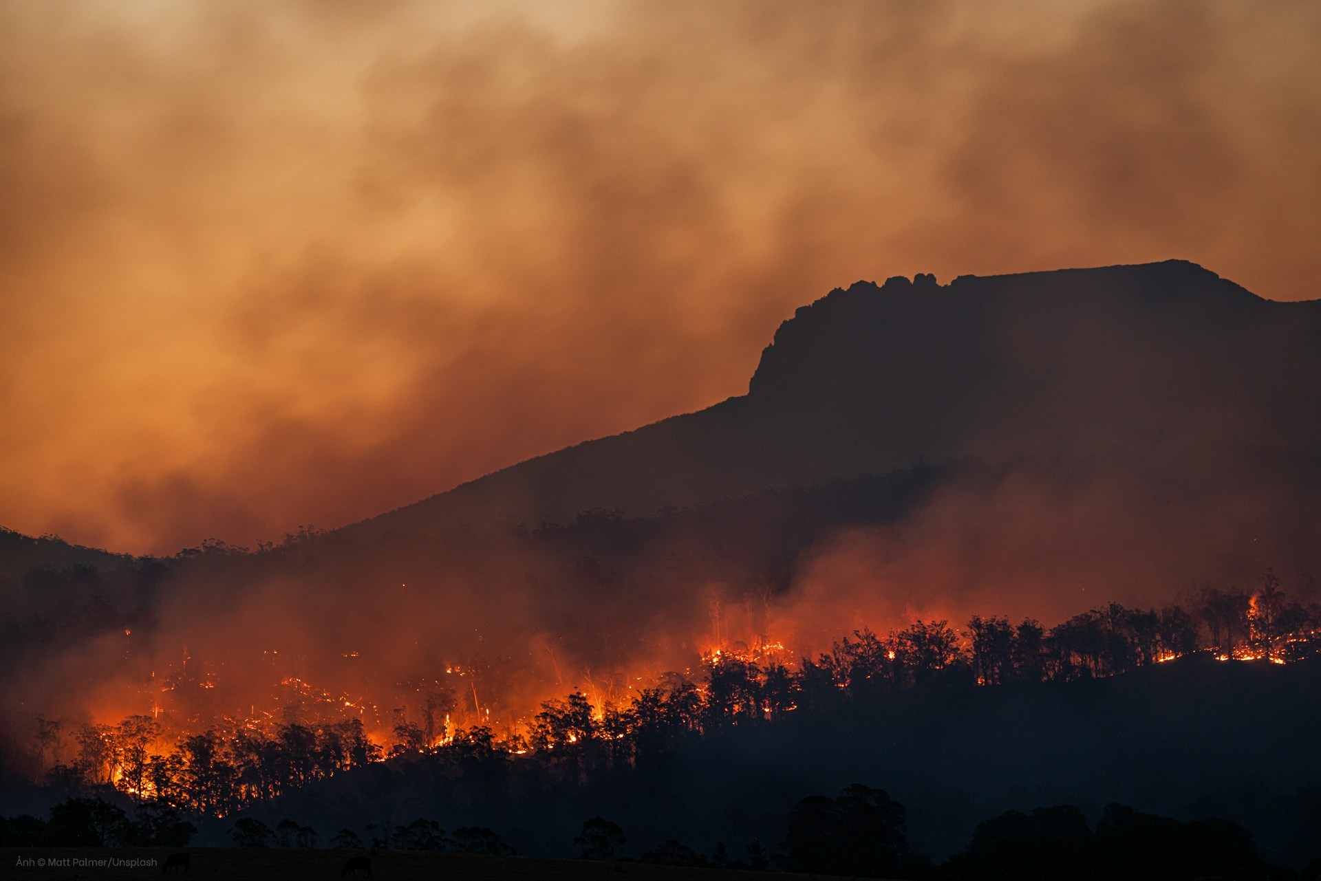 Connecting the Dots: Climate Change, Health, and Human Vulnerability